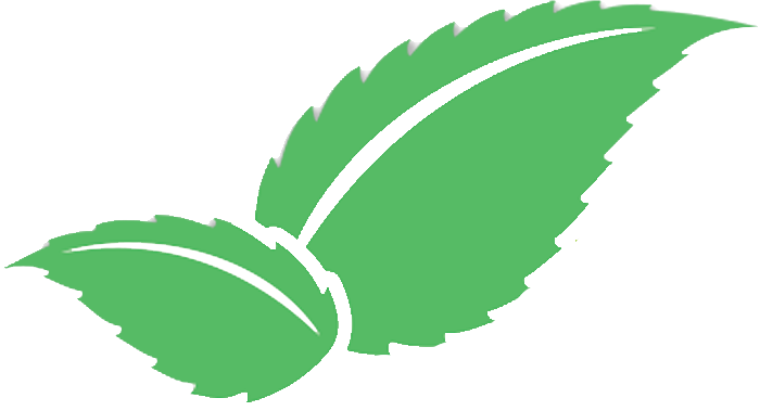 Mojito Studios Logo.